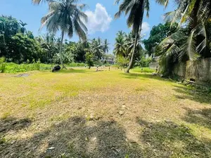 15 Perch Land for Sale in Thalawathugoda – Wali Para