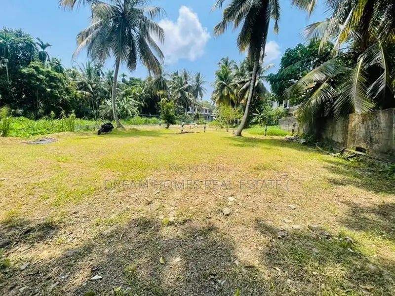 15 Perch Land for Sale in Thalawathugoda – Wali Para