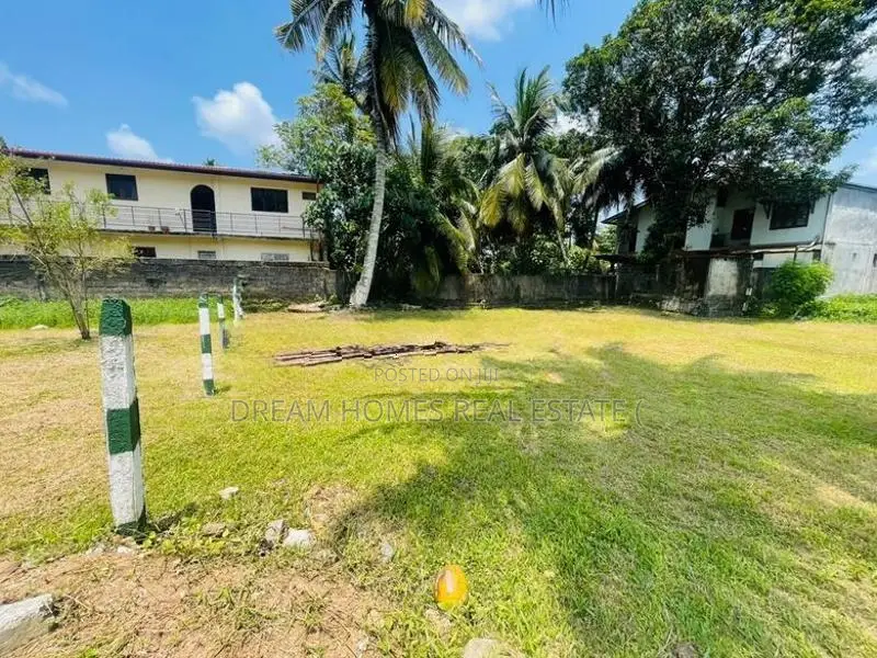 15 Perch Land for Sale in Thalawathugoda – Wali Para