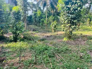 40 Perch Land Facing Carpet Road – Hokandara North Opportunity