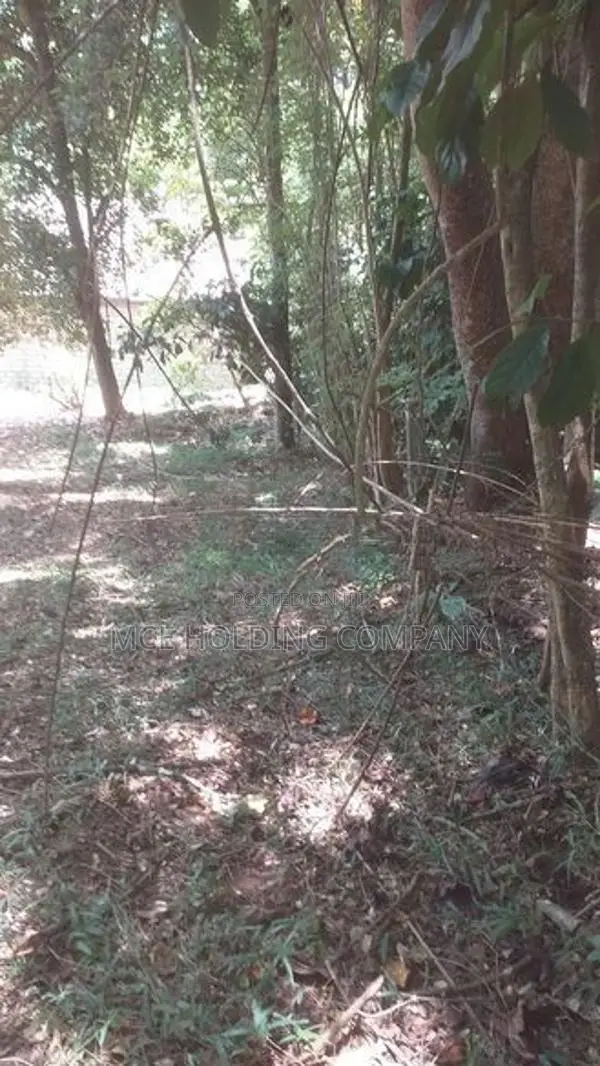 Land for Sale in Kengalla, Kandy