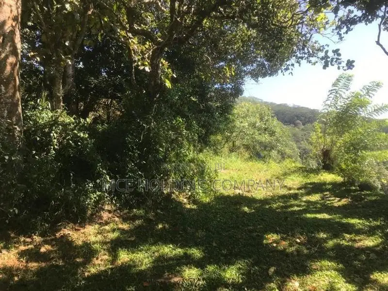 Land For Sale Near Amaya Hills Hotel, Kandy