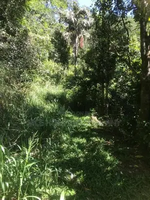 Land For Sale Near Amaya Hills Hotel, Kandy