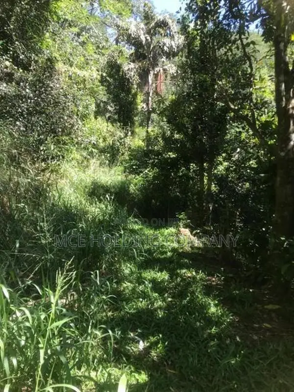 Land For Sale Near Amaya Hills Hotel, Kandy