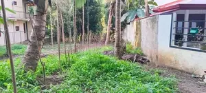 නුවර දිගන ප්‍රදේශයේ අඩුම මිලකට වටිනා ඉඩමක්