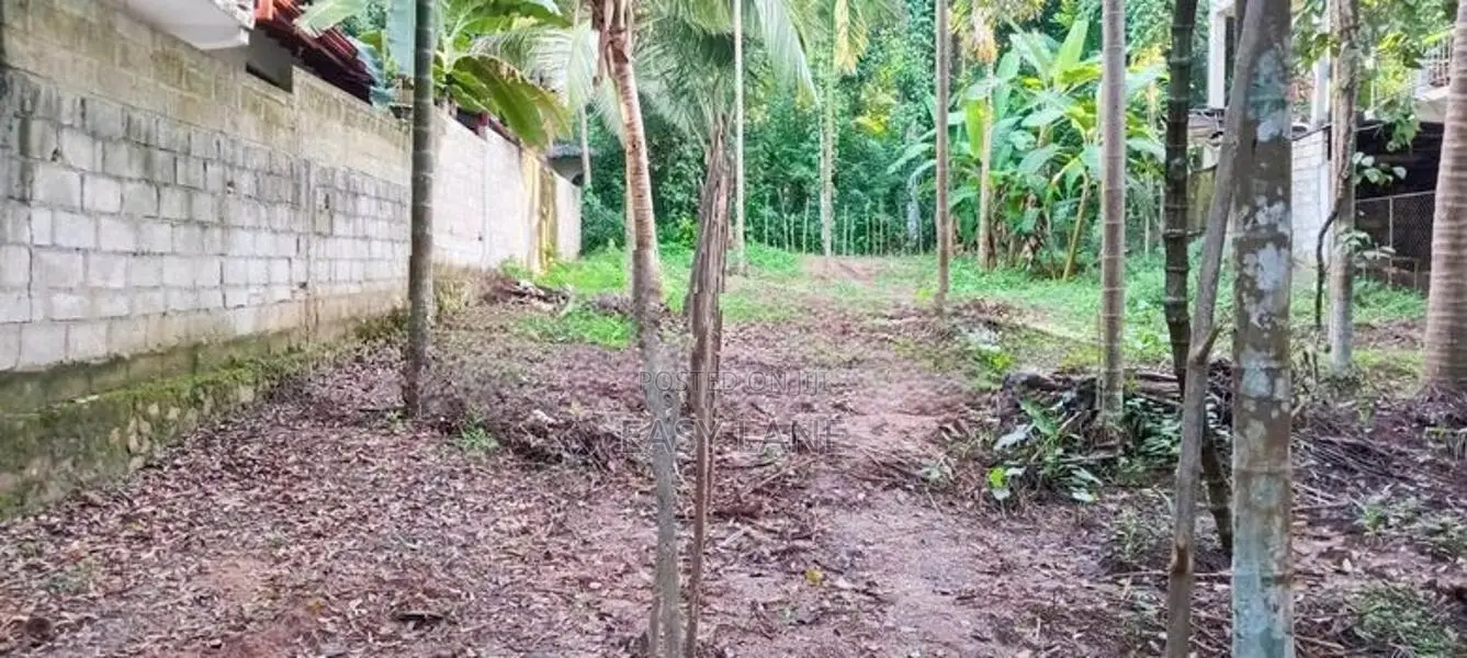 නුවර දිගන ප්‍රදේශයේ අඩුම මිලකට වටිනා ඉඩමක්