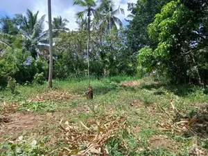 ලෝලුවාගොඩ දම්රෝ ආයතනය අසලින් ඉඩම