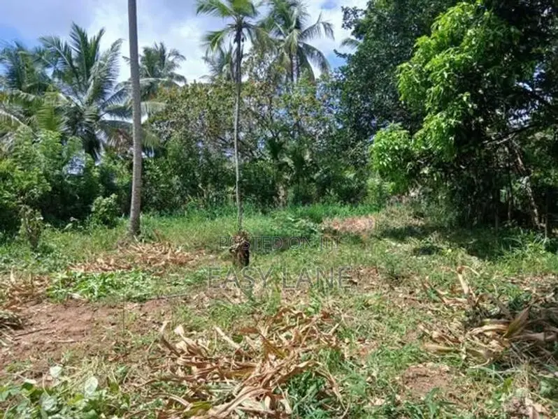 ලෝලුවාගොඩ දම්රෝ ආයතනය අසලින් ඉඩම
