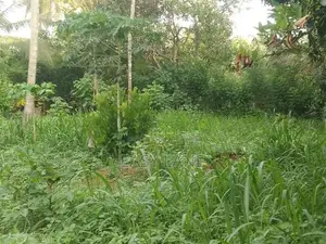 ලෝලුවාගොඩ දම්රෝ ආයතනය අසලින් ඉඩම