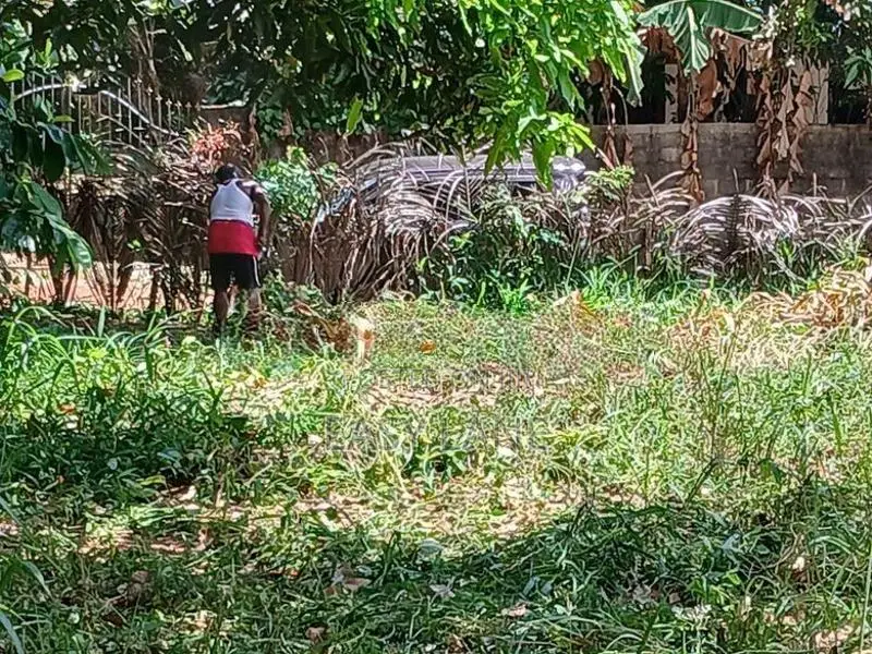 ලෝලුවාගොඩ දම්රෝ ආයතනය අසලින් ඉඩම