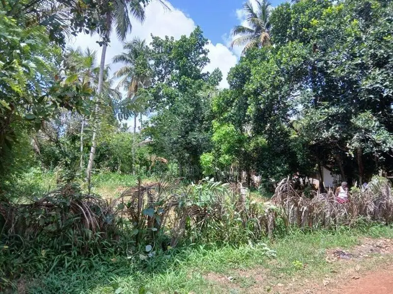 ලෝලුවාගොඩ දම්රෝ ආයතනය අසලින් ඉඩම