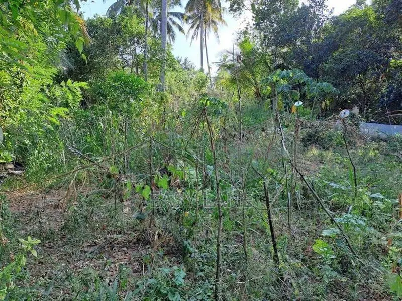 ලෝලුවාගොඩ දම්රෝ ආයතනය අසලින් ඉඩම