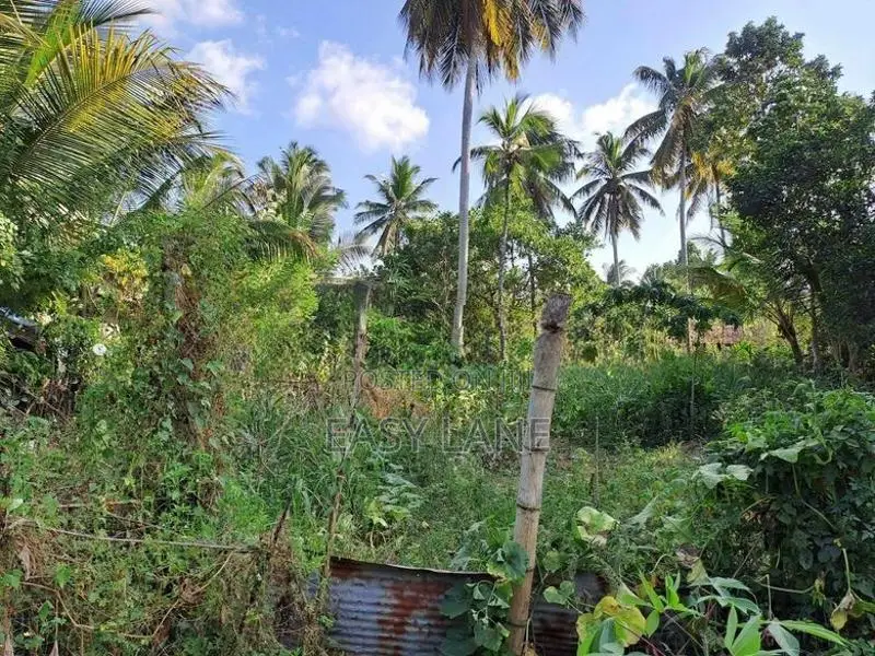 ලෝලුවාගොඩ දම්රෝ ආයතනය අසලින් ඉඩම