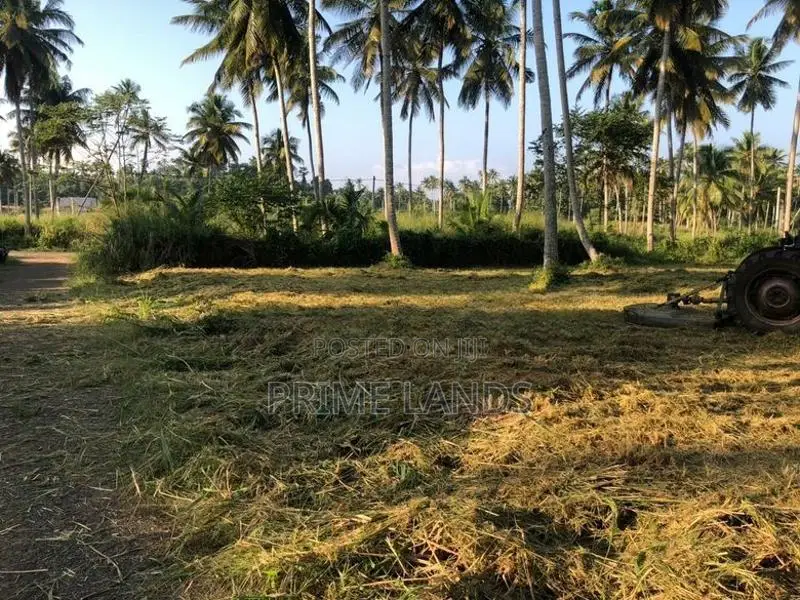 නාරම්මල නේවාසික බිම් කොටස්