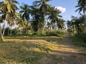 නාරම්මල නේවාසික බිම් කොටස්