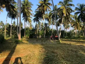 නාරම්මල නේවාසික බිම් කොටස්
