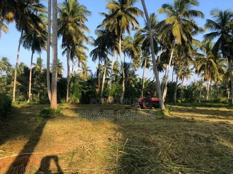 නාරම්මල නේවාසික බිම් කොටස්