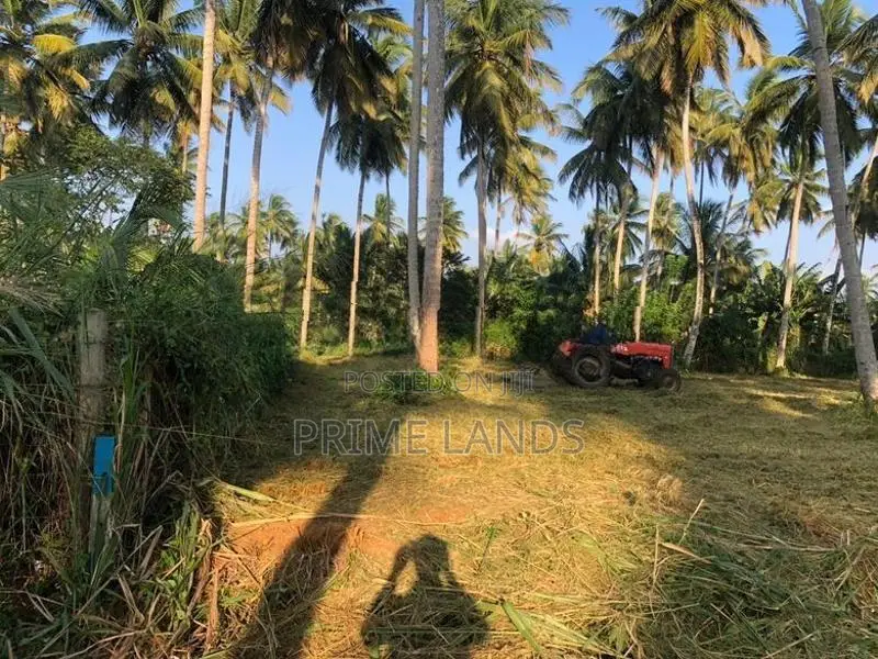 නාරම්මල නේවාසික බිම් කොටස්