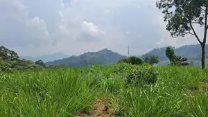 Land for sale in Pussellawa