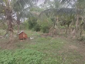 Land With Home Sale In Kilinochchi