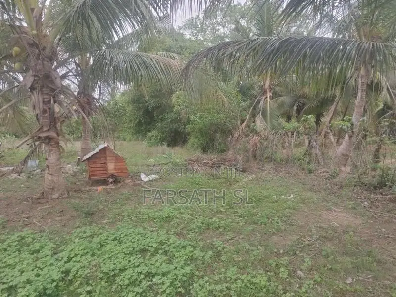 Land With Home Sale In Kilinochchi