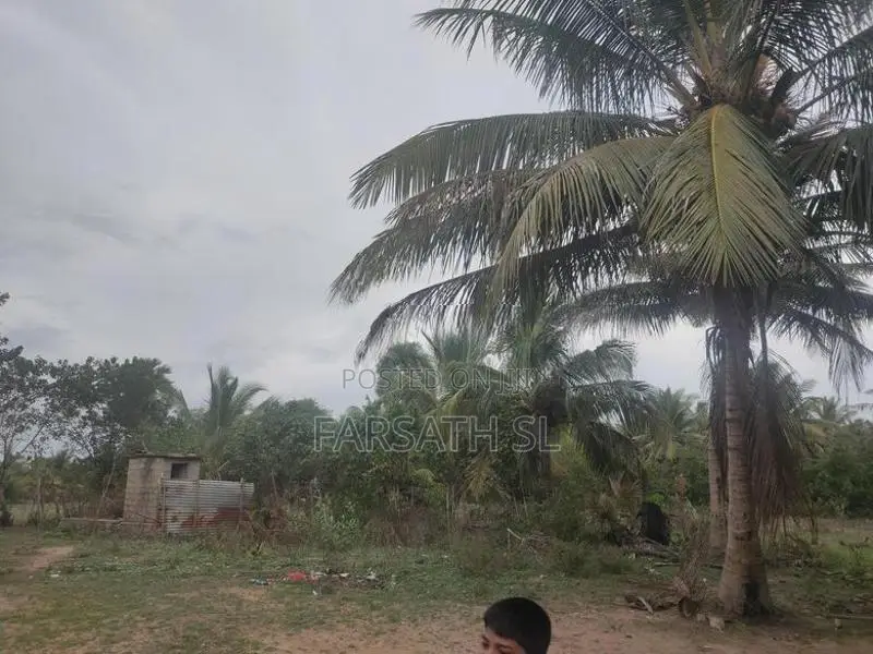 Land With Home Sale In Kilinochchi