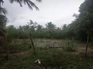 Land With Home Sale In Kilinochchi