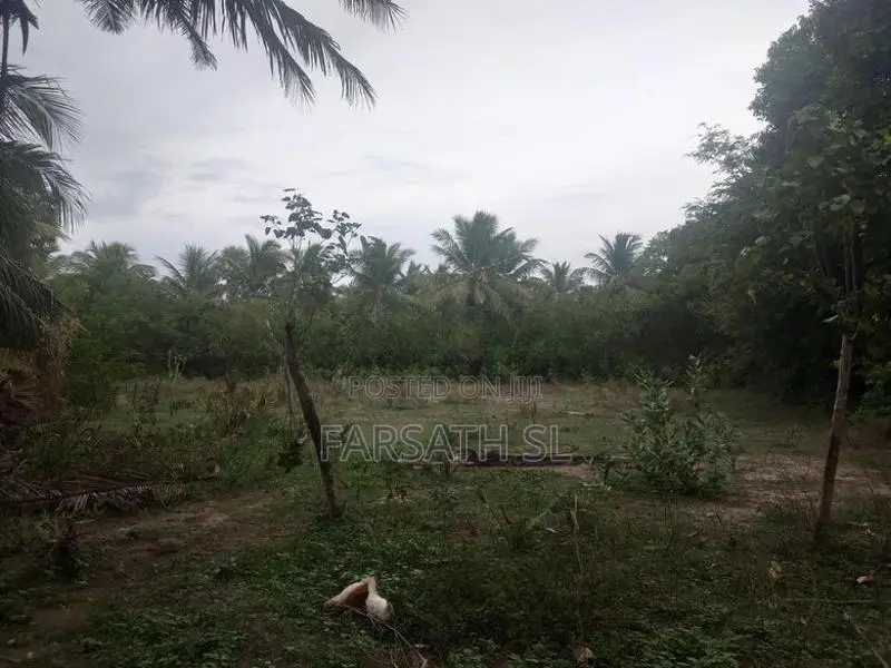 Land With Home Sale In Kilinochchi