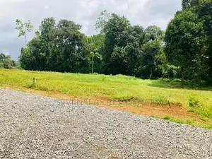 Prime Residential Land Blocks in Eheliyagoda Town