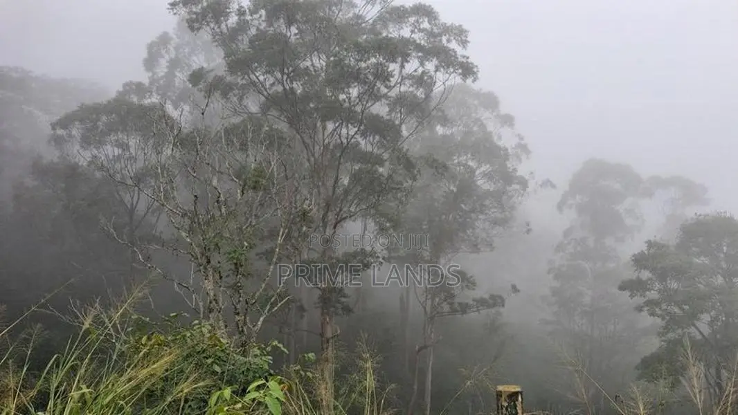Valuable Land For Sale In Pussellawa Wahurupitiya