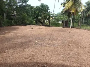 Land For Sale In Dangedara Galle