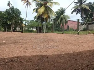 Land For Sale In Dangedara Galle