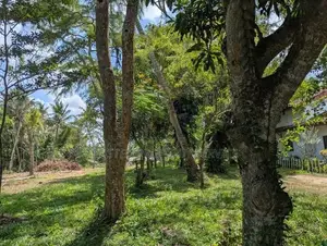 Wariyapola Land Sale
