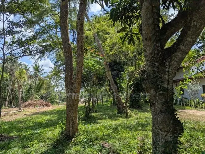 Wariyapola Land Sale