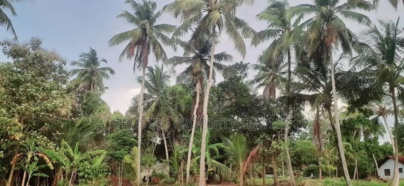 Wariyapola Land Sale