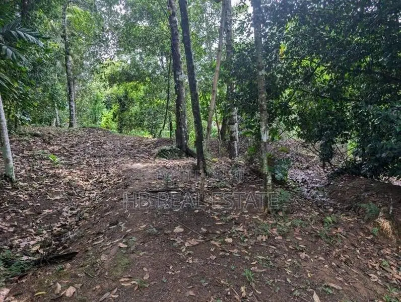 100 Perches Residential Property For Sale In Pilimatalawa