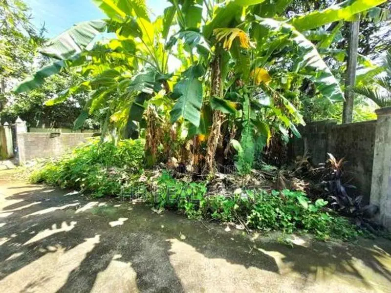6 Perches Highly Residential Bare Land for Sale Thalawathugoda