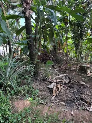 10.1 Perch Land for Sale in Meegoda – 3.1km to High Level Road