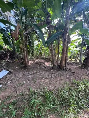 10.1 Perch Land for Sale in Meegoda – 3.1km to High Level Road