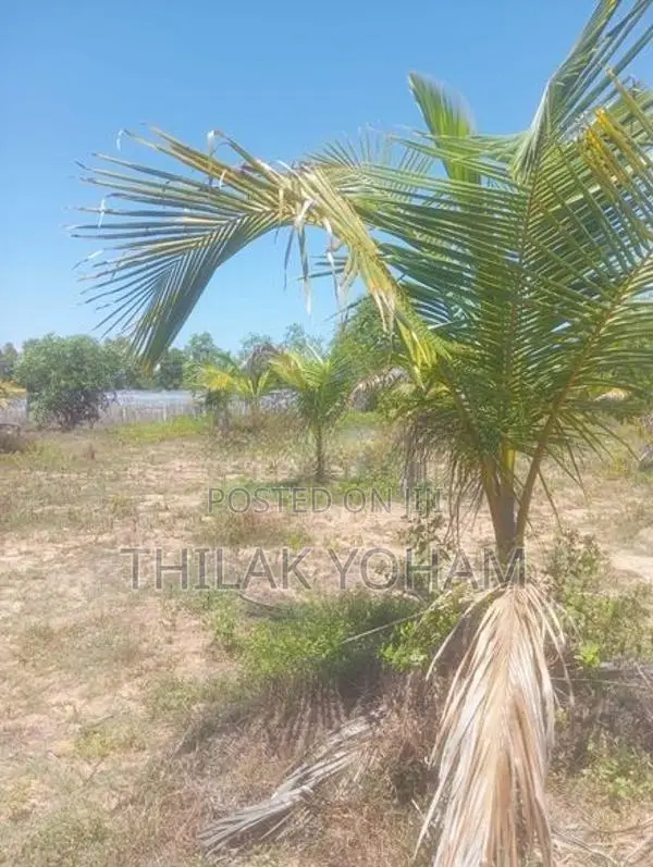 Land for Sale in Kommathurai