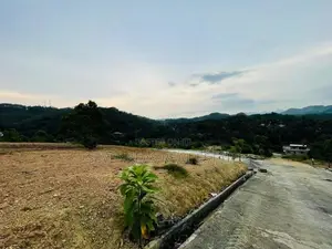 Land for Sale in Avissawella Galapitamadama