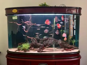 Imported Fish Tank