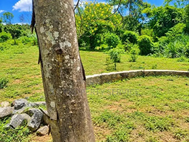 100-Perch Land For Sale In Very Close To Badulla Town (Sspl-531)