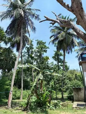 வீடு-காணி விற்பனைக்கு (ஜெயபுரம்)