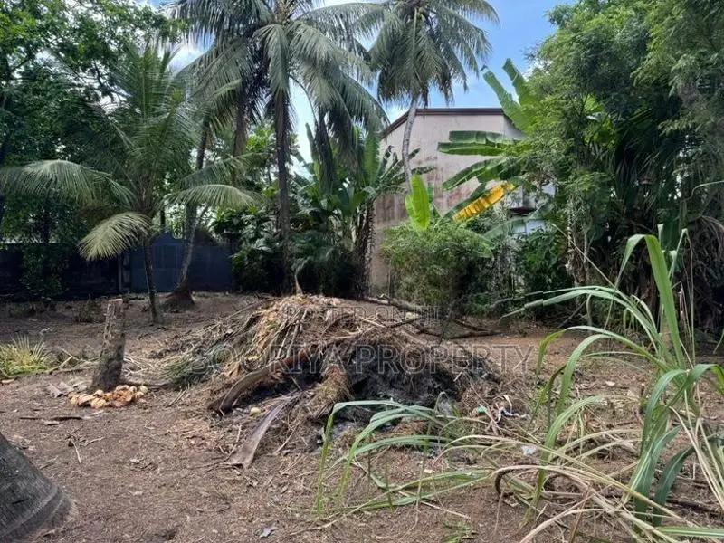 Commercial Land for Rent in Piliyandala