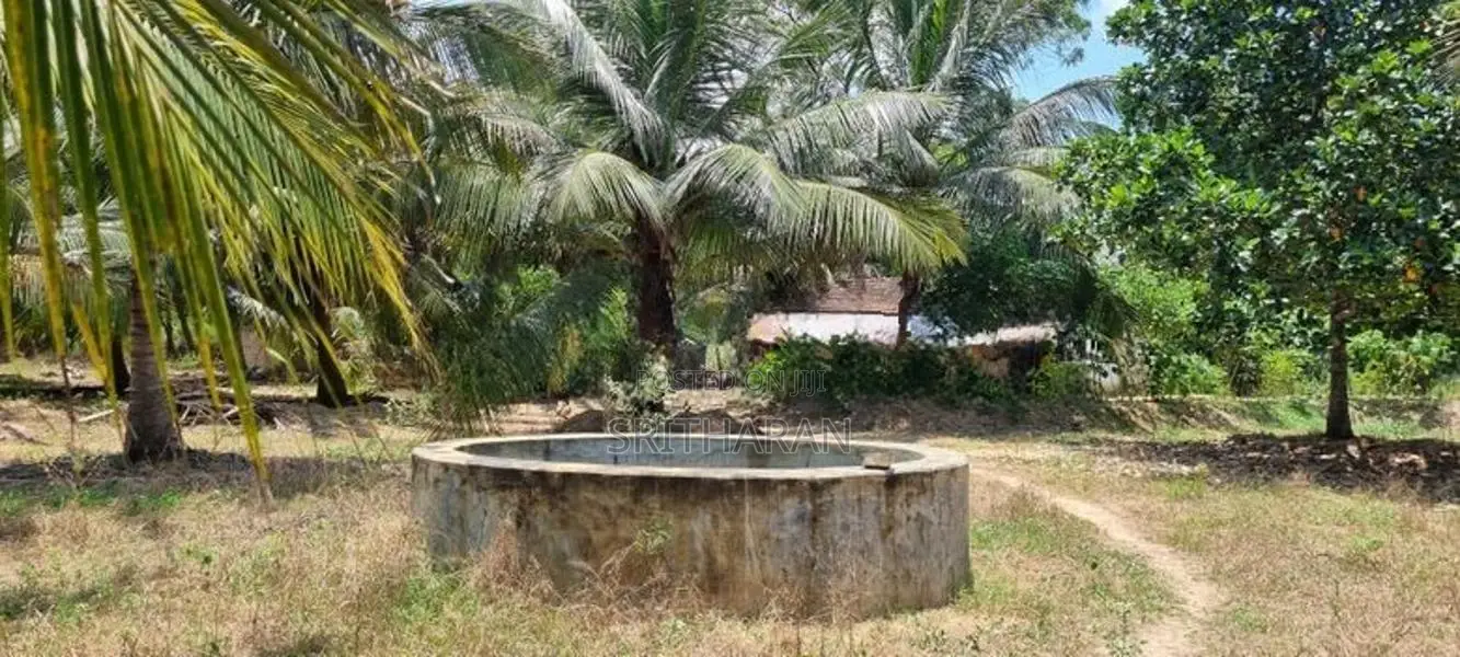 Coconut Farm, Building Material Yard With House For Sale. In Batticalo