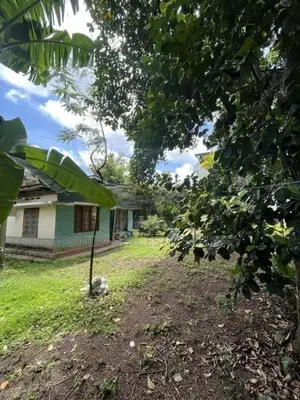 Land For Sale In Nugegoda With 2 Houses Included. Perfect