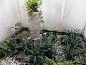 House for Rent in Colombo 08 ( FILE NO 5652B)