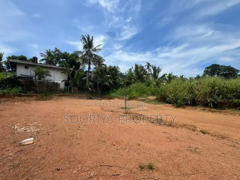 Piliyandala Miriswaththa 7.5P Superbly Land for Sale