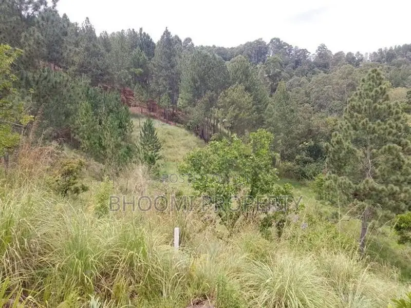 Land for Sale in Ella